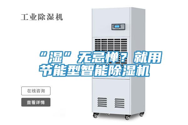 “濕”無忌憚？就用節(jié)能型智能除濕機(jī)