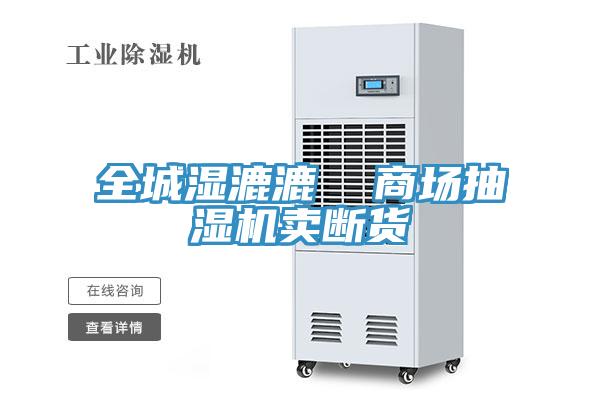 全城濕漉漉  商場抽濕機(jī)賣斷貨