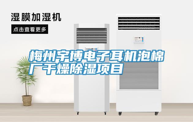 梅州宇博電子耳機(jī)泡棉廠干燥除濕項(xiàng)目