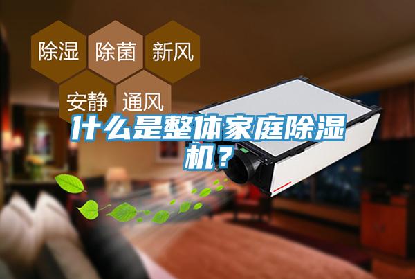 什么是整體家庭除濕機？