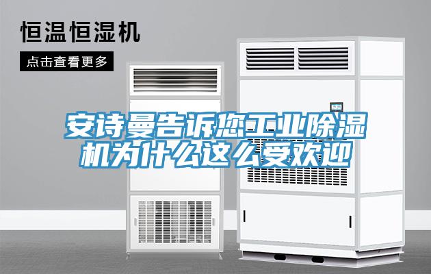 安詩(shī)曼告訴您工業(yè)除濕機(jī)為什么這么受歡迎