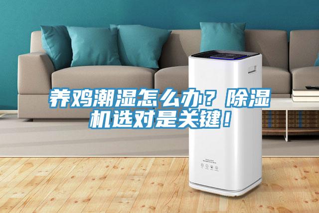 養(yǎng)雞潮濕怎么辦？除濕機(jī)選對是關(guān)鍵！