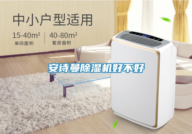安詩曼除濕機好不好