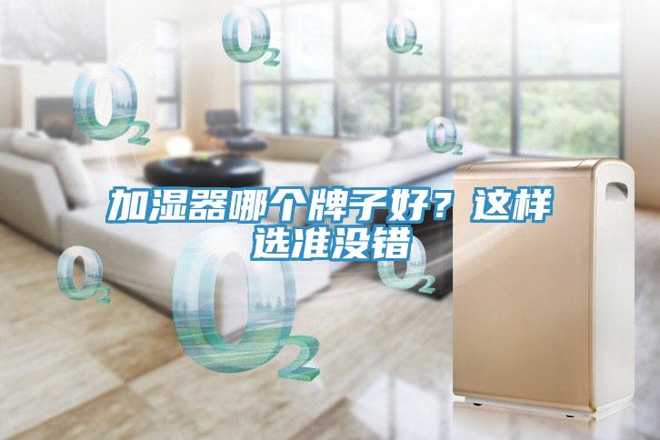 加濕器哪個牌子好？這樣選準(zhǔn)沒錯