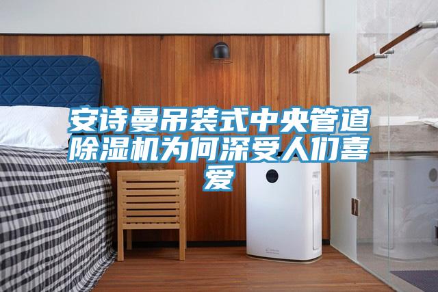 安詩(shī)曼吊裝式中央管道除濕機(jī)為何深受人們喜愛(ài)