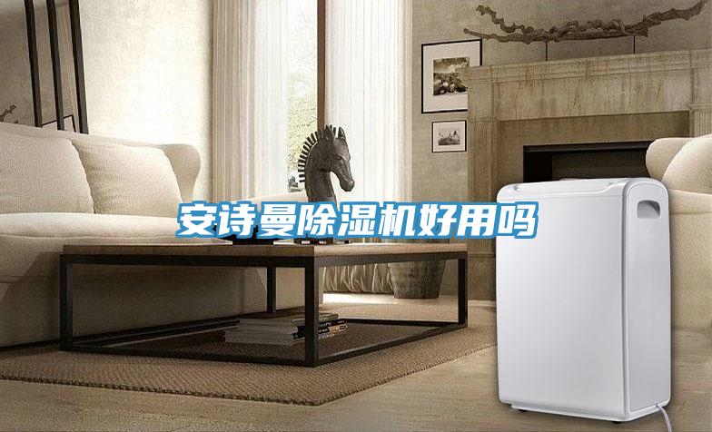 安詩曼除濕機好用嗎