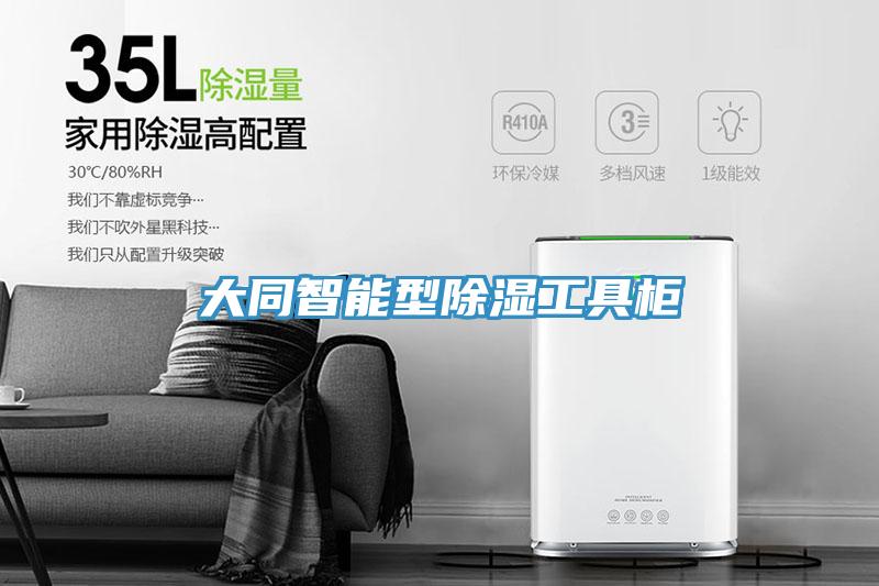 大同智能型除濕工具柜