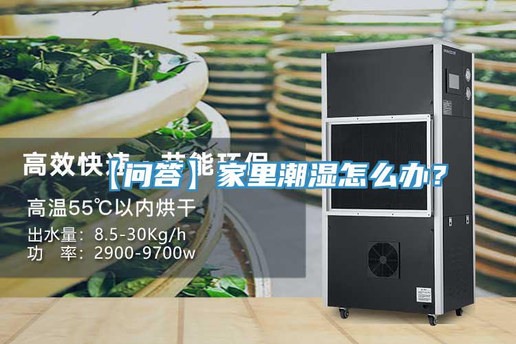 【問答】家里潮濕怎么辦？