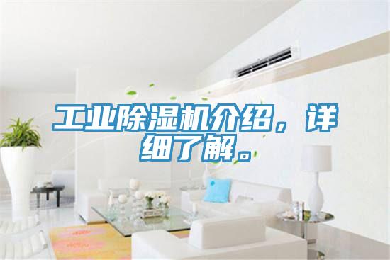 工業(yè)除濕機(jī)介紹，詳細(xì)了解。