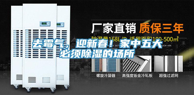 去霉氣，迎新春！家中五大必須除濕的場所