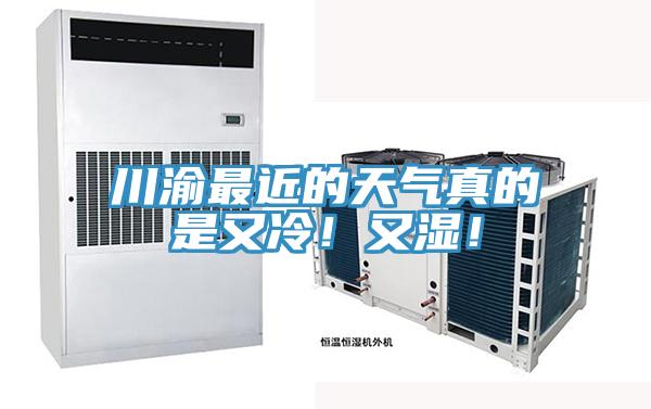 川渝最近的天氣真的是又冷！又濕！