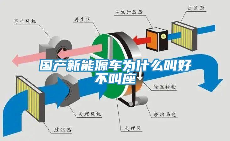 國(guó)產(chǎn)新能源車(chē)為什么叫好不叫座