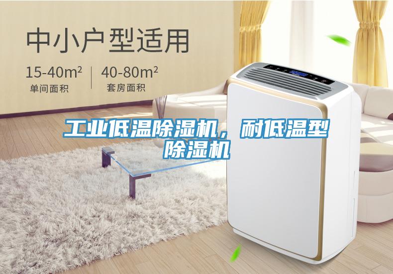 工業(yè)低溫除濕機(jī)，耐低溫型除濕機(jī)