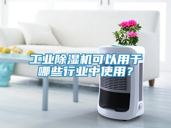 工業(yè)除濕機(jī)可以用于哪些行業(yè)中使用？