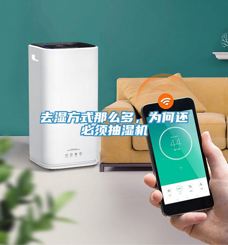去濕方式那么多，為何還必須抽濕機(jī)
