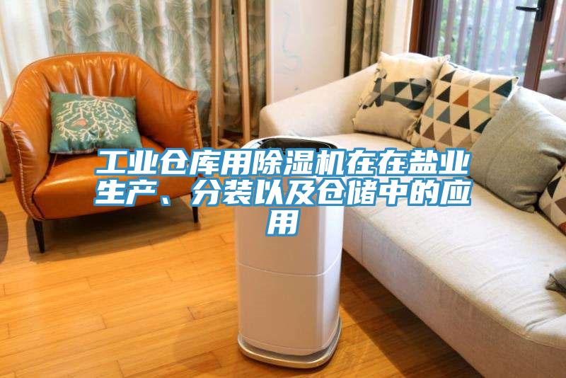 工業(yè)倉庫用除濕機(jī)在在鹽業(yè)生產(chǎn)、分裝以及倉儲(chǔ)中的應(yīng)用