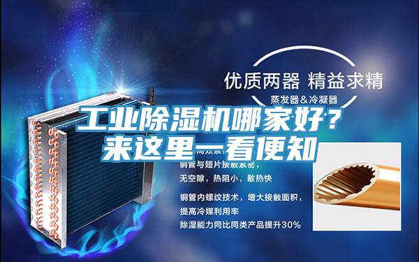 工業(yè)除濕機(jī)哪家好？來這里一看便知