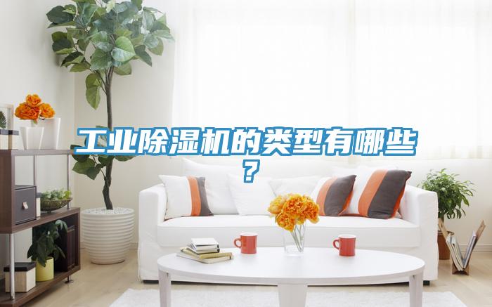 工業(yè)除濕機的類型有哪些？