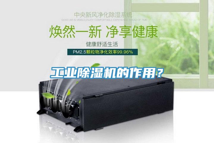 工業(yè)除濕機(jī)的作用？