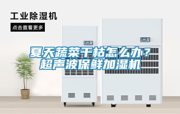 夏天蔬菜干枯怎么辦？超聲波保鮮加濕機