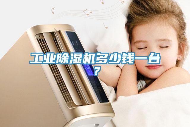 工業(yè)除濕機(jī)多少錢一臺？