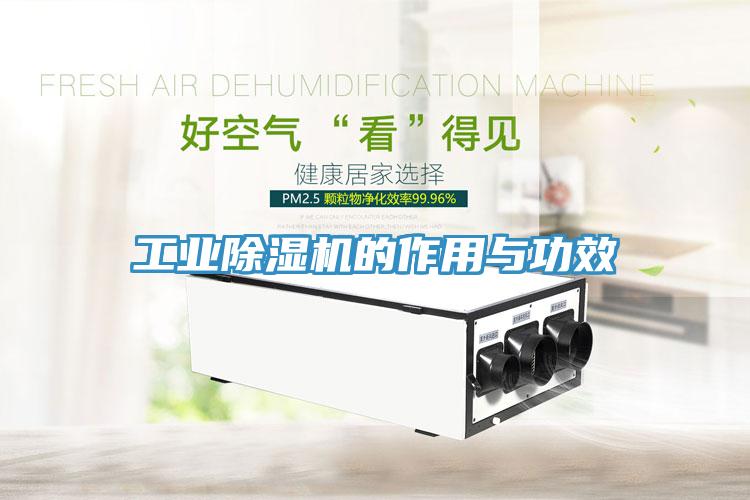 工業(yè)除濕機(jī)的作用與功效