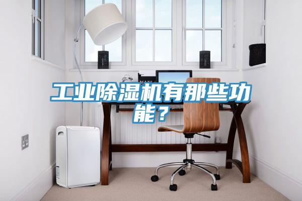 工業(yè)除濕機(jī)有那些功能？