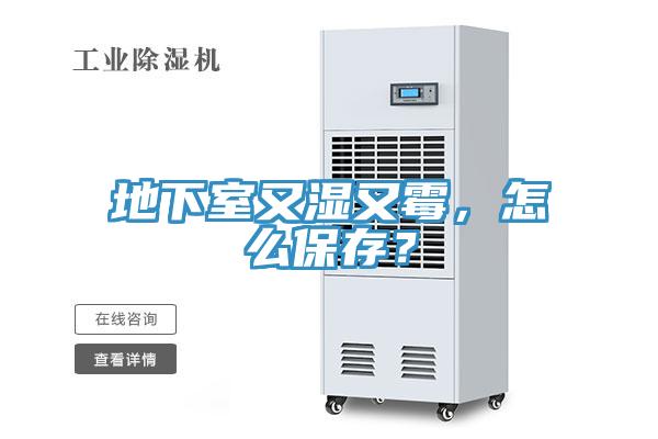 地下室又濕又霉，怎么保存？