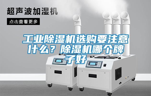 工業(yè)除濕機選購要注意什么？除濕機哪個牌子好
