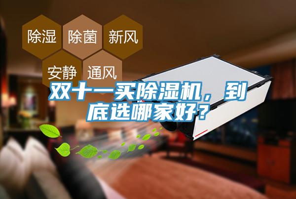 雙十一買除濕機，到底選哪家好？