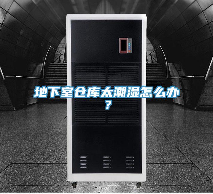 地下室倉(cāng)庫(kù)太潮濕怎么辦？