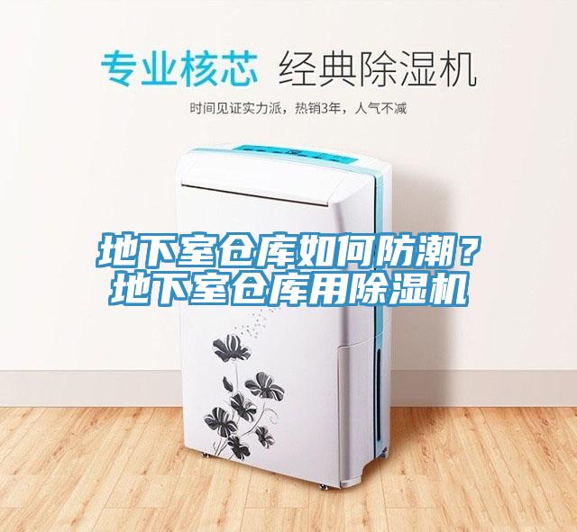 地下室倉庫如何防潮？地下室倉庫用除濕機(jī)