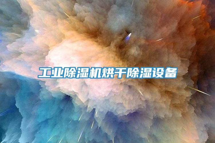 工業(yè)除濕機烘干除濕設(shè)備