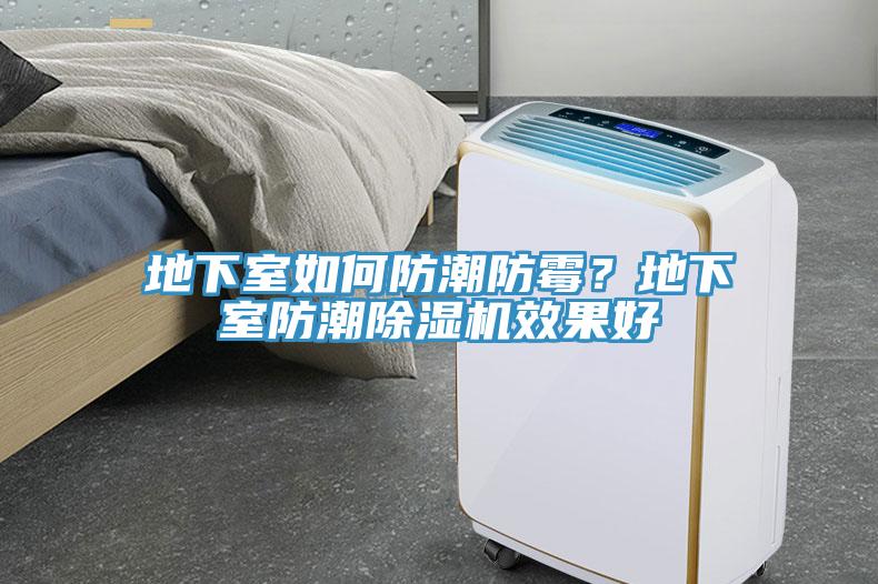 地下室如何防潮防霉？地下室防潮除濕機效果好