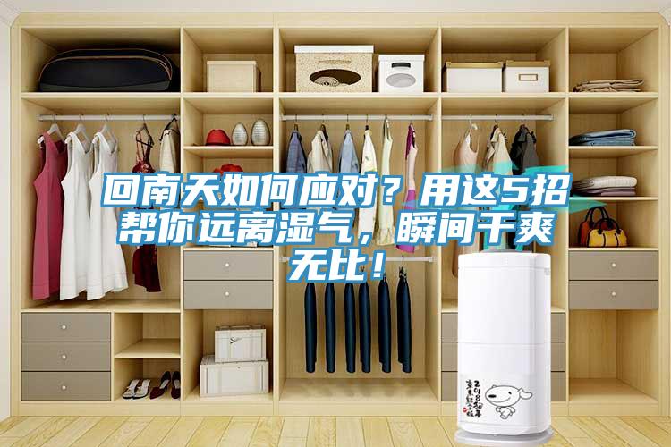 回南天如何應(yīng)對？用這5招幫你遠(yuǎn)離濕氣，瞬間干爽無比！