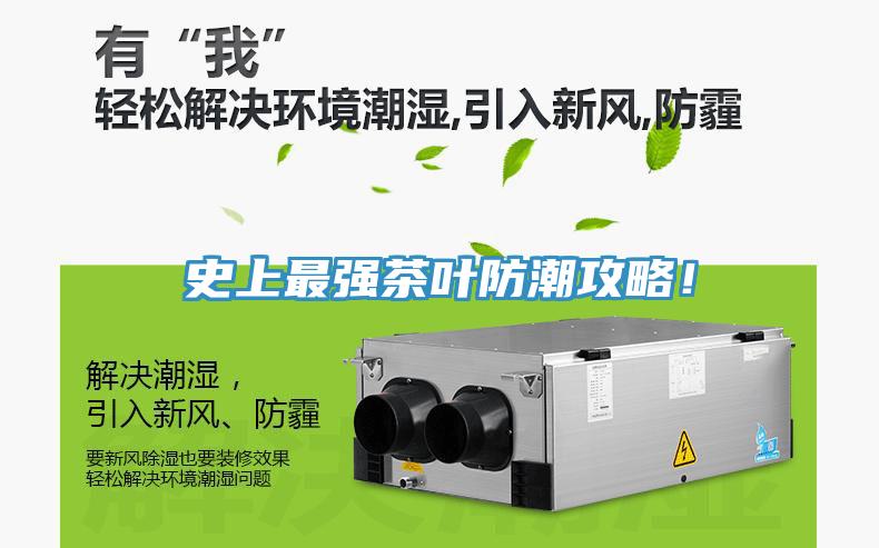 史上最強(qiáng)茶葉防潮攻略！