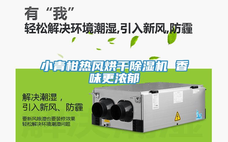 小青柑熱風(fēng)烘干除濕機(jī) 香味更濃郁