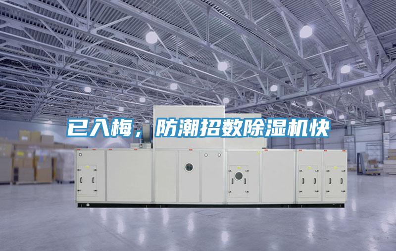 已入梅，防潮招數(shù)除濕機快