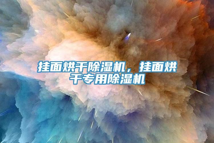 掛面烘干除濕機，掛面烘干專用除濕機
