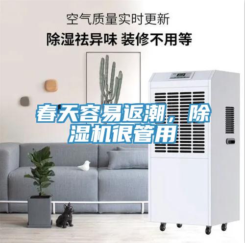 春天容易返潮，除濕機很管用