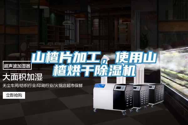 山楂片加工，使用山楂烘干除濕機