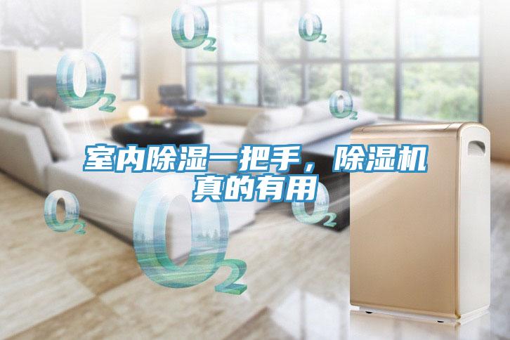 室內(nèi)除濕一把手，除濕機(jī)真的有用