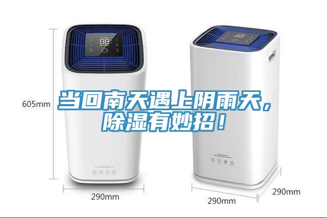 當(dāng)回南天遇上陰雨天，除濕有妙招！