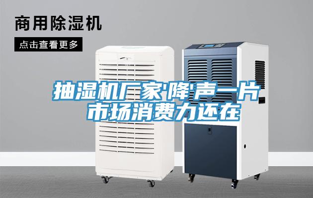 抽濕機(jī)廠家'降'聲一片 市場消費力還在