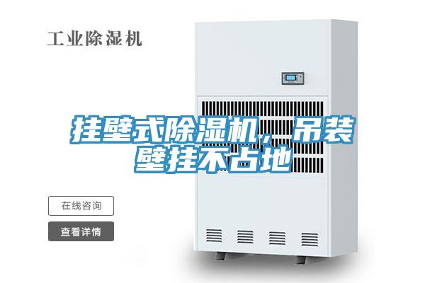 掛壁式除濕機，吊裝壁掛不占地