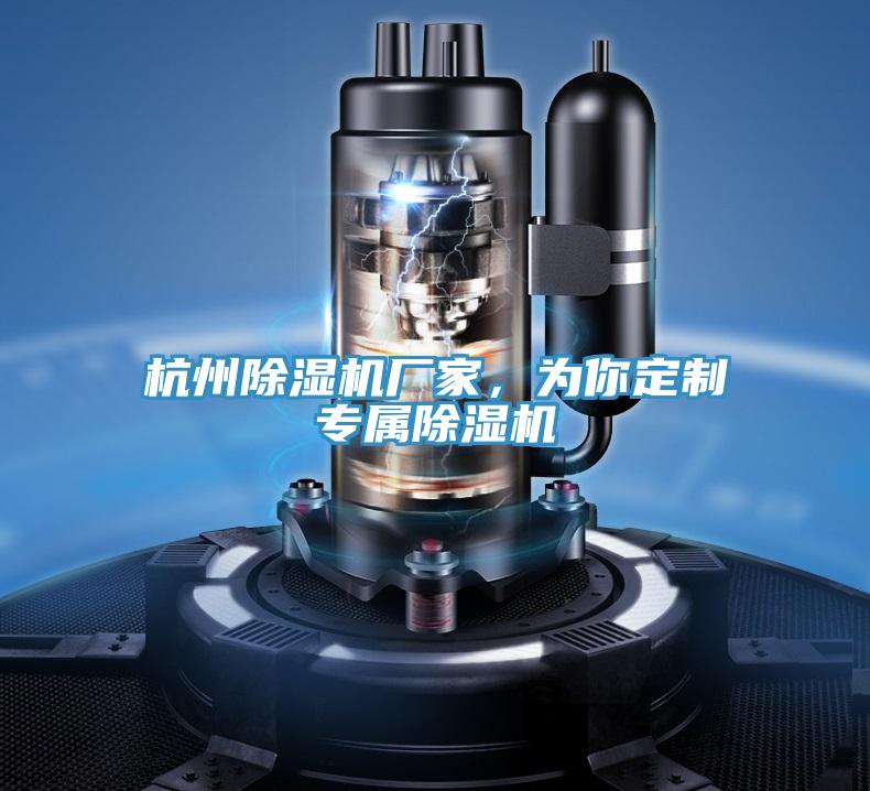 杭州除濕機(jī)廠家，為你定制專屬除濕機(jī)