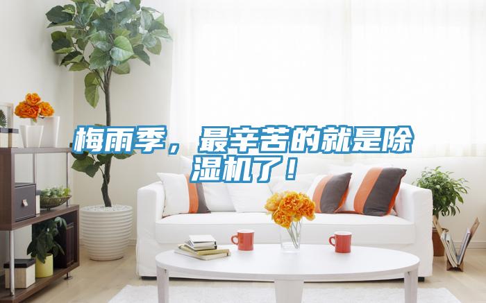 梅雨季，最辛苦的就是除濕機(jī)了！