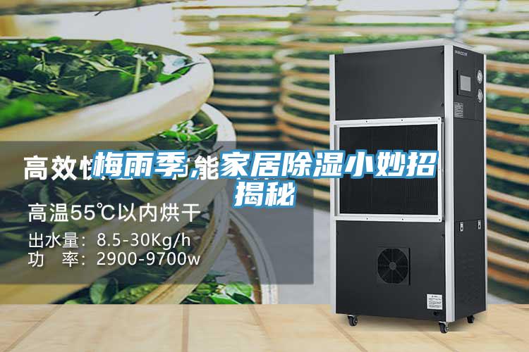 梅雨季，家居除濕小妙招揭秘