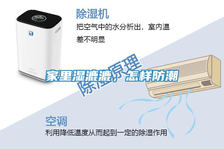 家里濕漉漉，怎樣防潮
