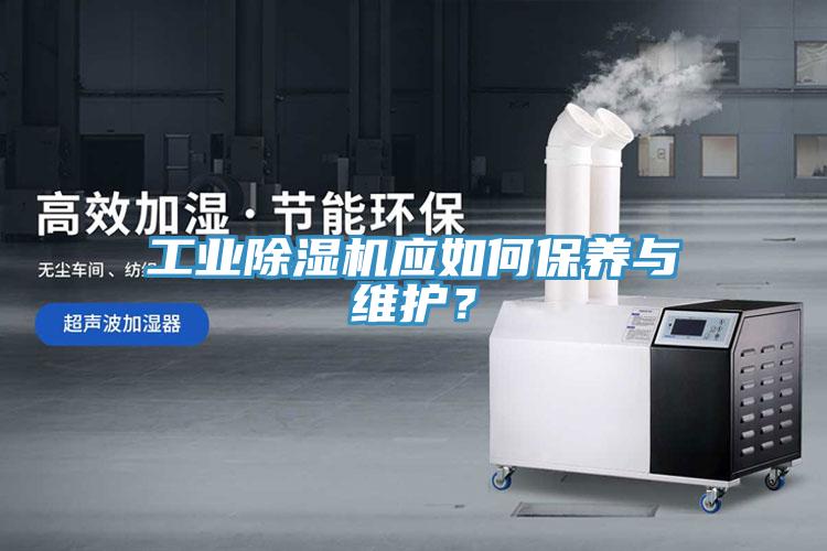 工業(yè)除濕機(jī)應(yīng)如何保養(yǎng)與維護(hù)？